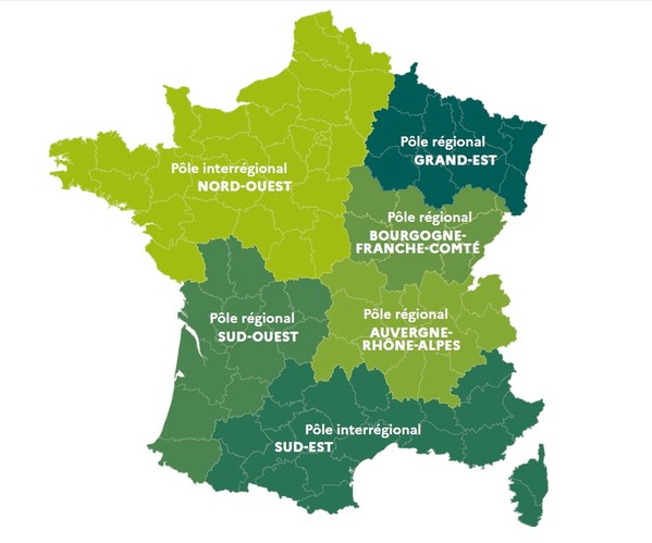carte de France présentant 6 pôles Le réseau de correspondants-observateurs : nord-ouest, grand-est,sud-ouest, Bourgogne Franche Comté, auvergne Rhone -Alpes et sud est